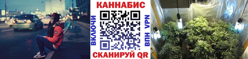 Конопля SATIVA & INDICA  Луза 